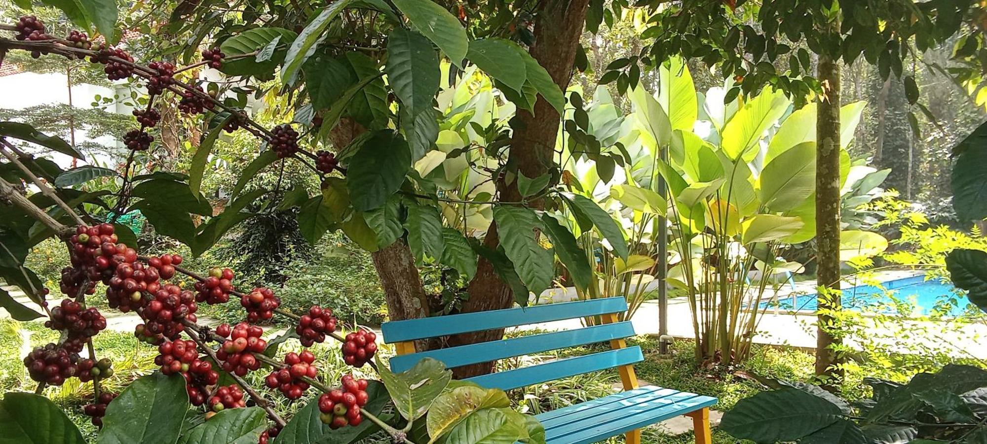 Le Vista Resort Sultan Bathery Bagian luar foto